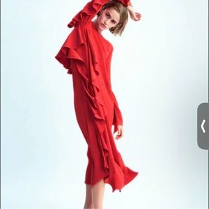 NWT zara midi dress with ruffles